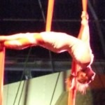 Circus day